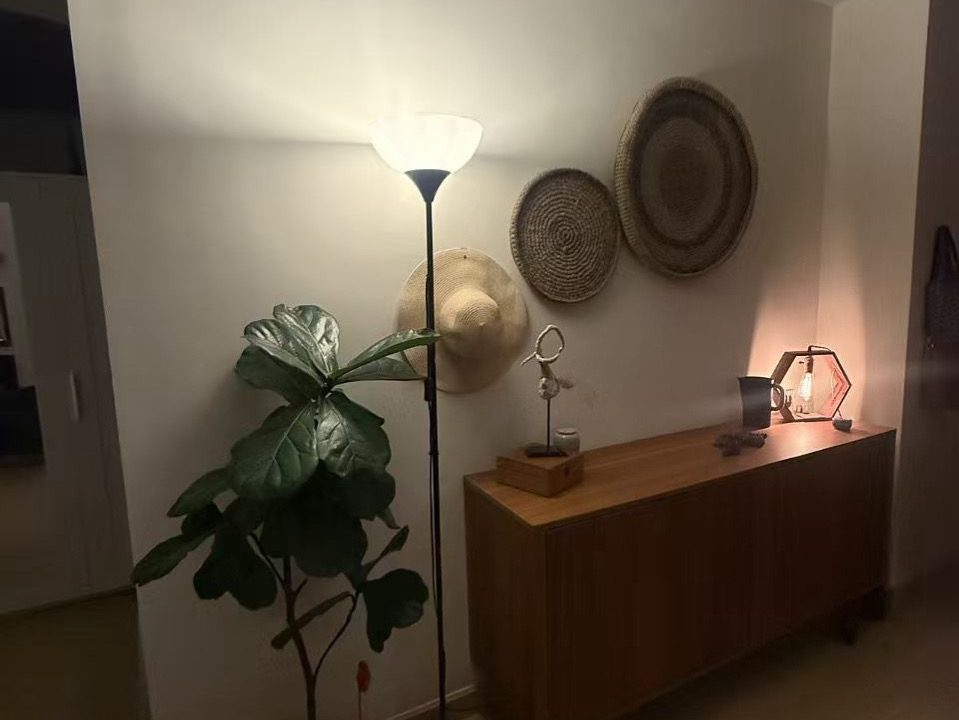 OneOasis_p30_Studio_2